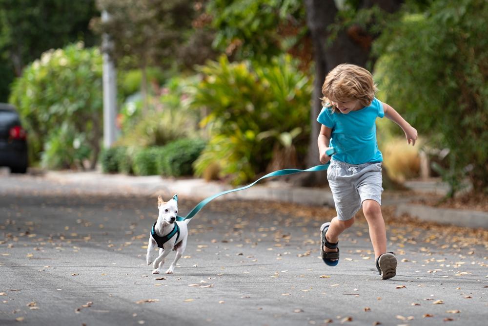 child with pet