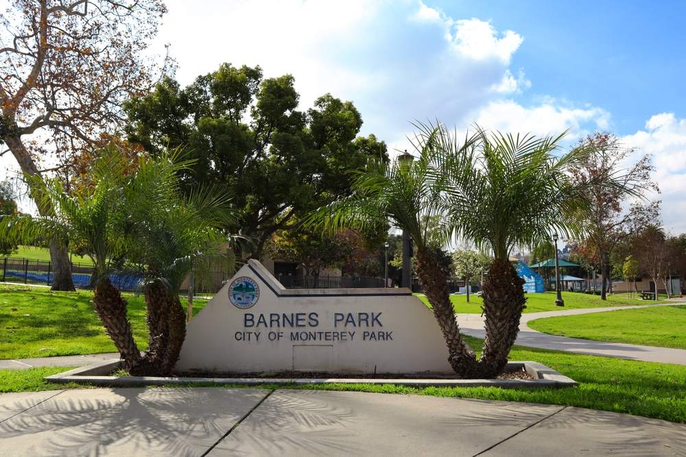 Avada Car Dealer News