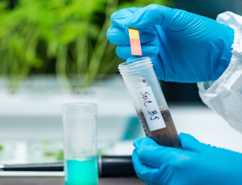 Materials Testing (Field & Lab)