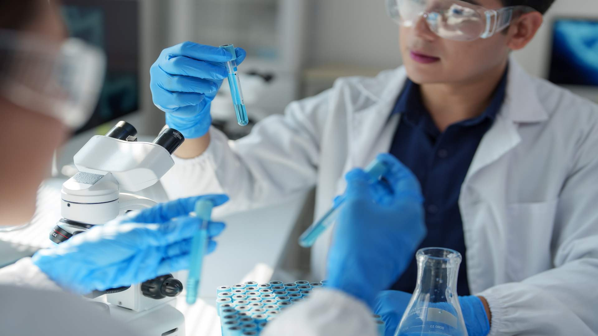 Avada Car Dealer News