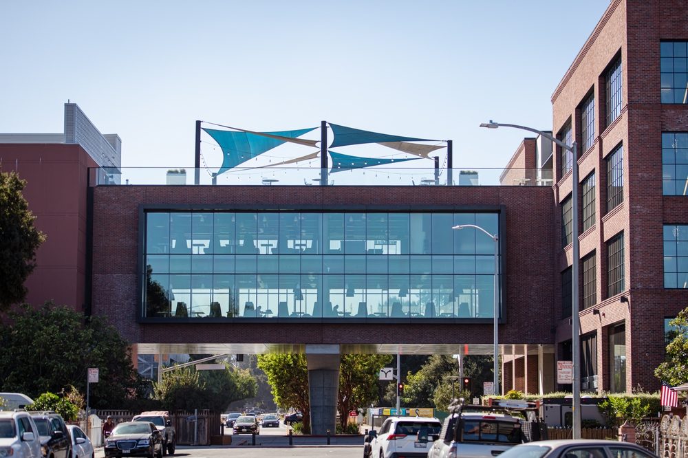 Avada Car Dealer News