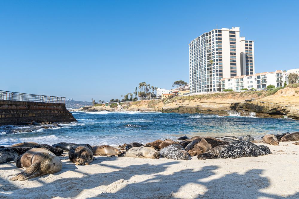 Avada Car Dealer News