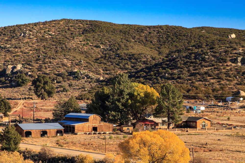 Avada Car Dealer News