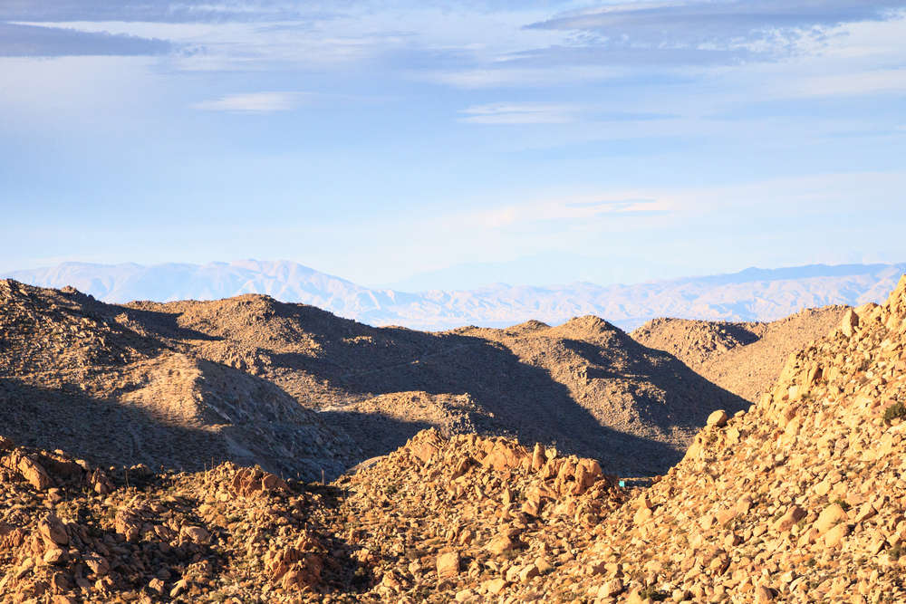 Avada Car Dealer News