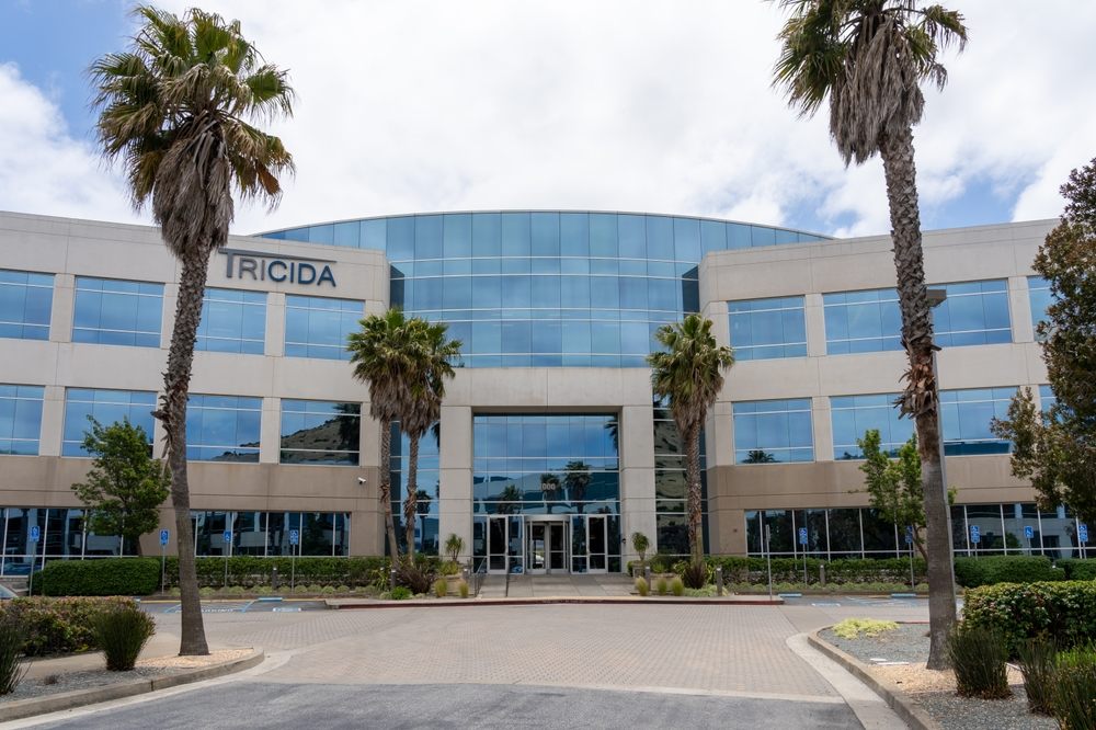 Avada Car Dealer News