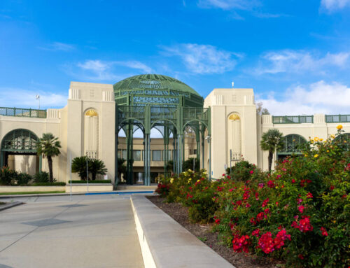 Professional Driveway Installation in Escondido, CA