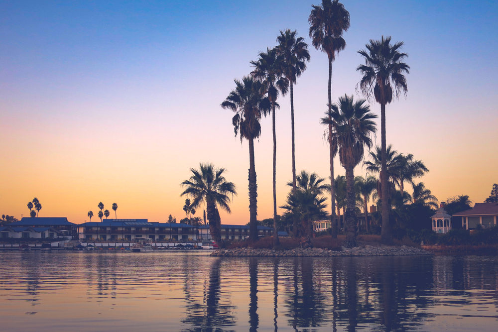 Avada Car Dealer News