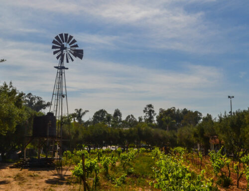 Professional Concrete Services in Rancho Bernardo, CA