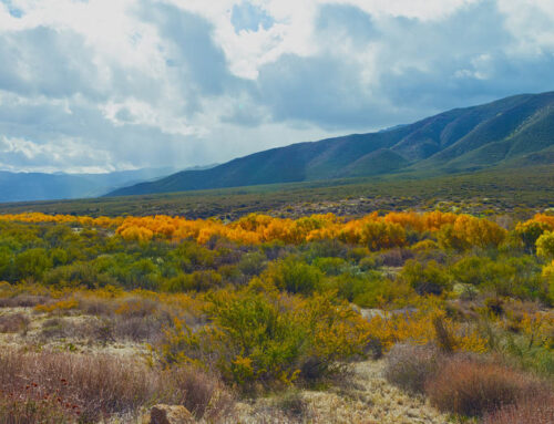 Staircase Installation in Warner Springs, CA