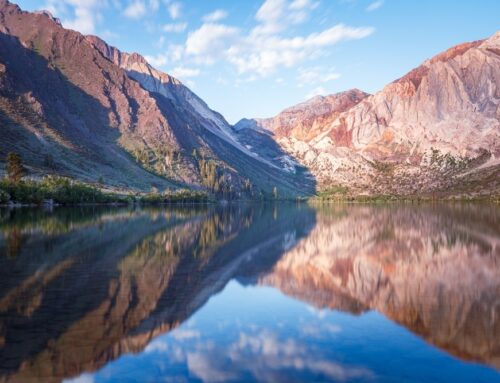 Aluminum Commercial Fencing in Silver Lake, CA